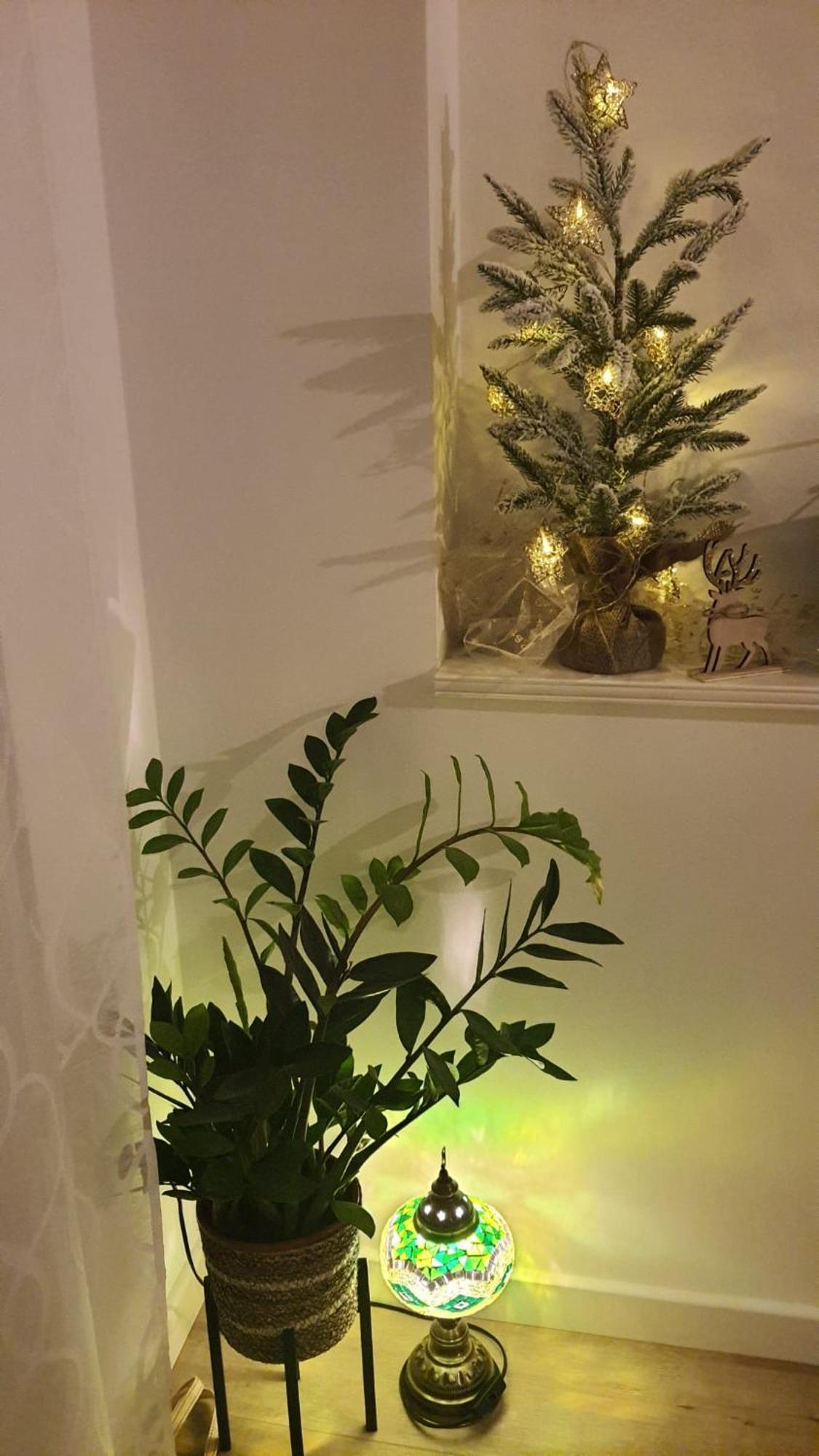 ספליט Apartman Lili מראה חיצוני תמונה