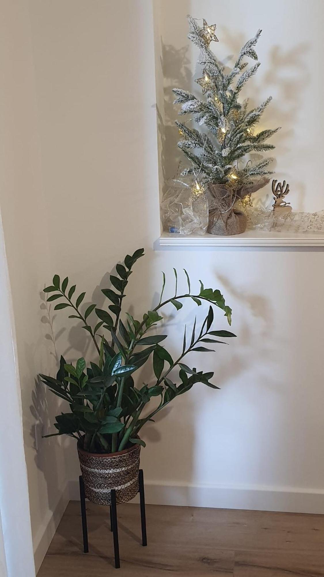 ספליט Apartman Lili מראה חיצוני תמונה